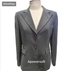 Tahiri Gray two button pants suit size 10P